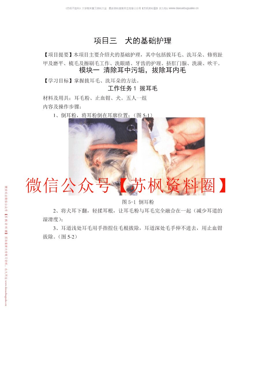 宠物美容